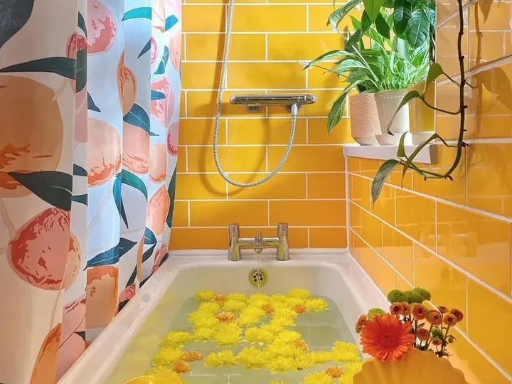 Bathtub shower