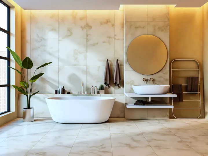 Bathtub sink toilet